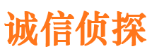 甘井子捉小三公司